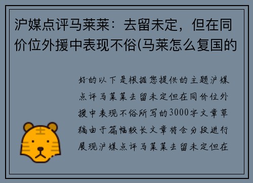 沪媒点评马莱莱：去留未定，但在同价位外援中表现不俗(马莱怎么复国的)