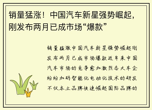 销量猛涨！中国汽车新星强势崛起，刚发布两月已成市场“爆款”